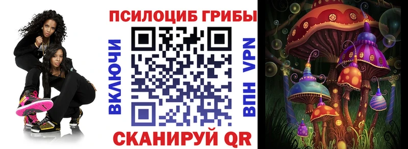 как найти наркотики  Новороссийск  Псилоцибиновые грибы мицелий 